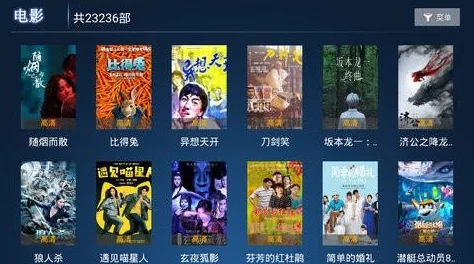 高清不卡毛片：最新动态显示该平台持续优化用户体验，提升视频播放流畅度，吸引更多观众关注