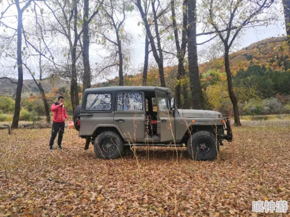 老头树林野战做爰视频引发广泛关注，相关部门已介入调查并加强对该地区的管理与巡查